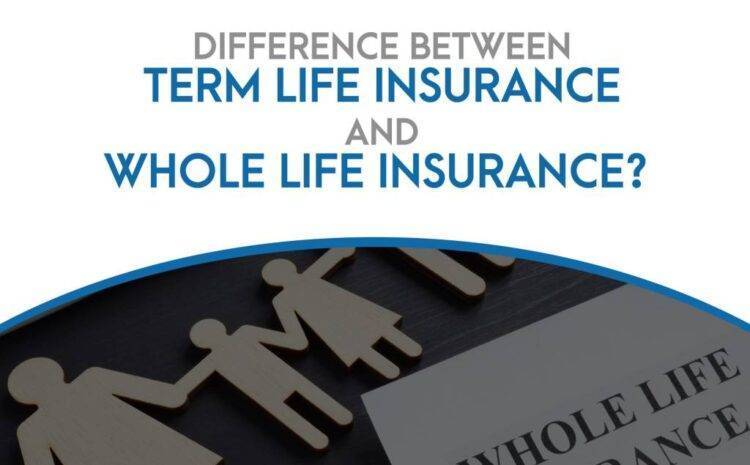  The Most Prominent Differences Between Term Life Insurance and Whole Life Insurance