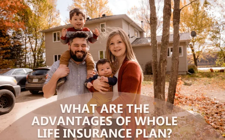  What are the Advantages of a Whole Life Insurance Plan? – Insurigo Inc