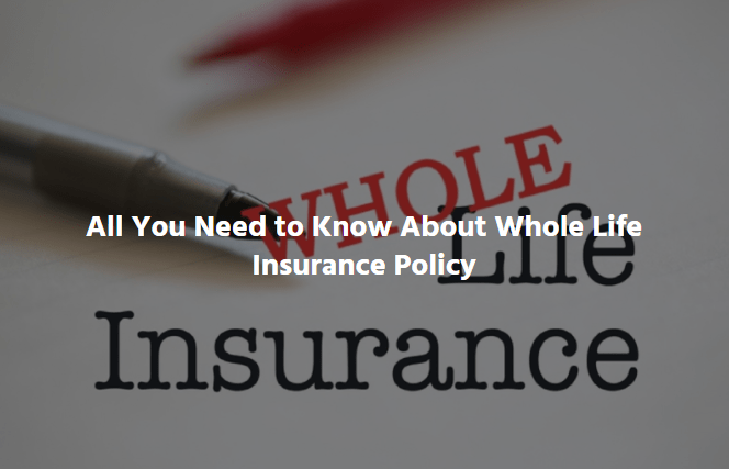  All You Need to Know About Whole Life Insurance Policy