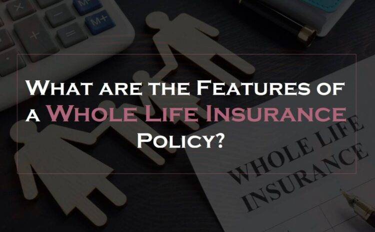  What are the Features of a Whole Life Insurance Policy?