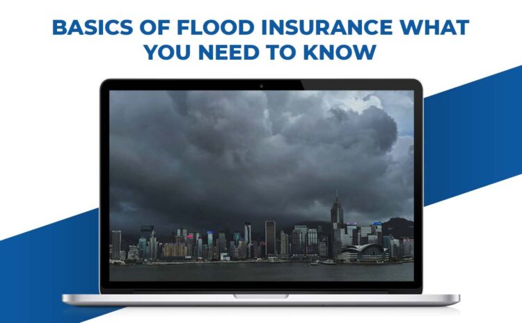  Basics of Flood Insurance What You Need to Know