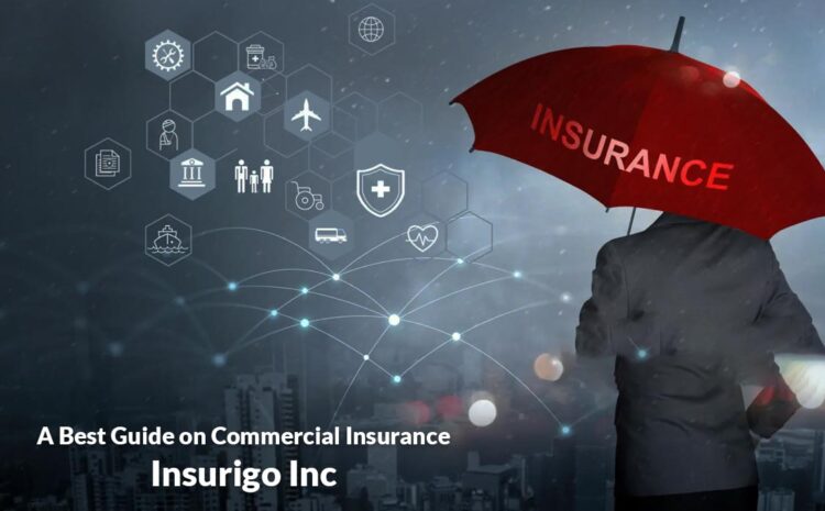 The Complete Guide to the Best Commercial Insurance