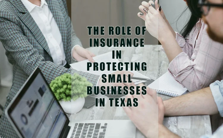  The Role of Small Business Insurance in Protecting Enterprises in Texas